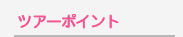 ツアーポイント