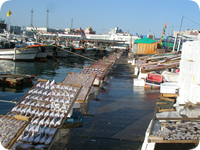 趣のある泗川の漁港