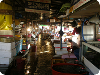 泗川の魚市場