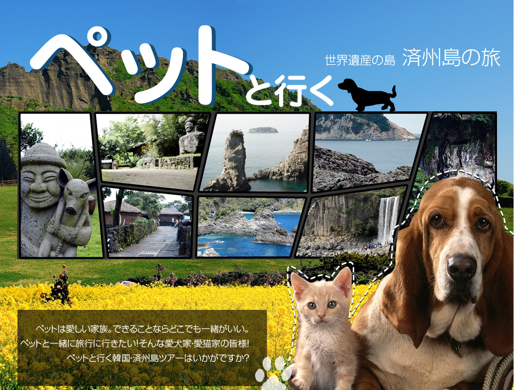 ペットは愛しい家族。できることならどこでも一緒がいい。
ペットと一緒に旅行に行きたい！そんな愛犬家・愛猫家の皆様！ペットと行く韓国・済州島ツアーはいかがですか？