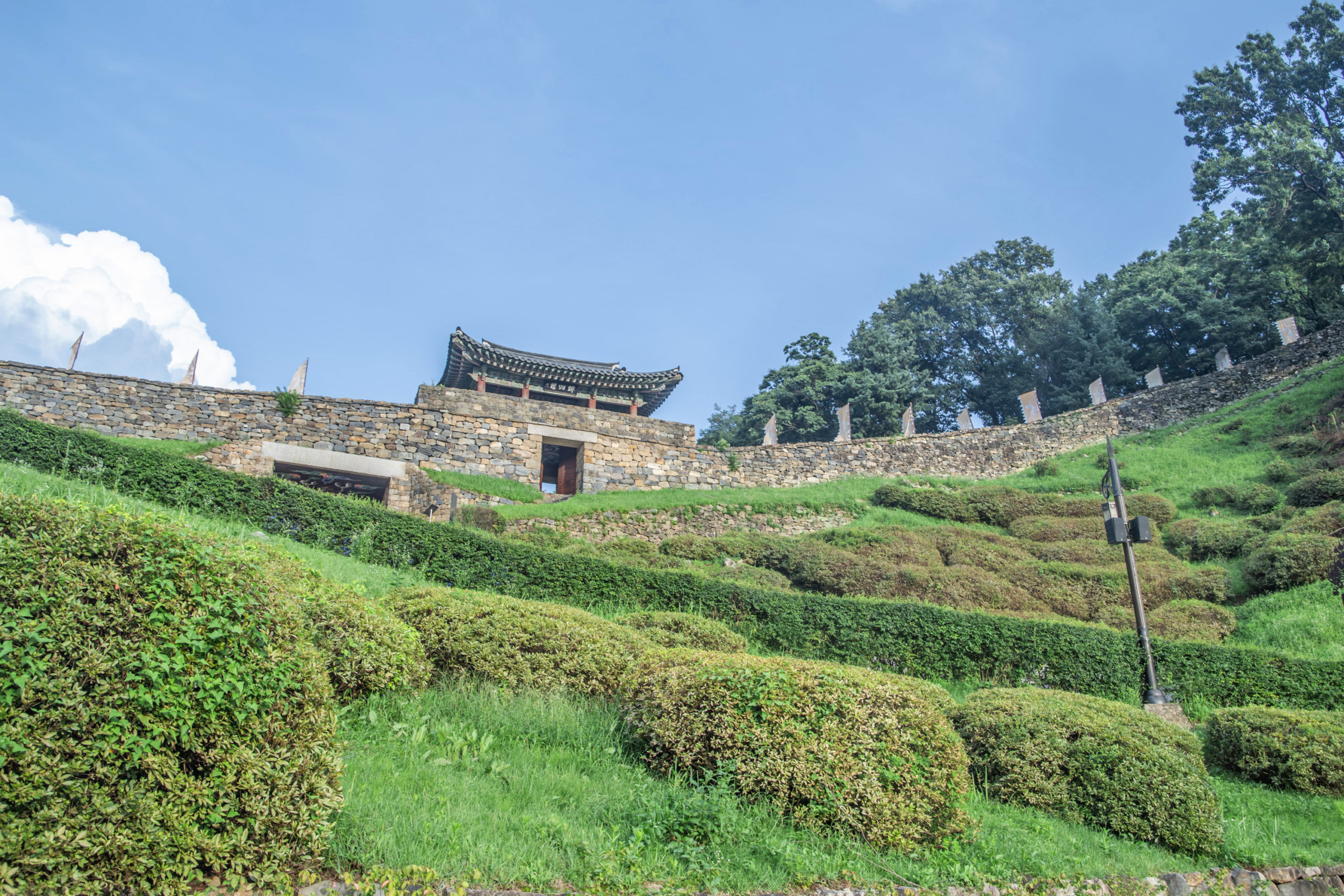 歴史を検証する！レジェンド考古学者 松木武彦先生と行く朝鮮半島歴史